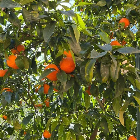 Quintavalle דירה Casa Marchetti